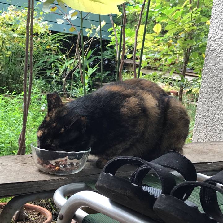 137abbd4 358c 482d a2c2 f1f7b76c7c73 1599646929466