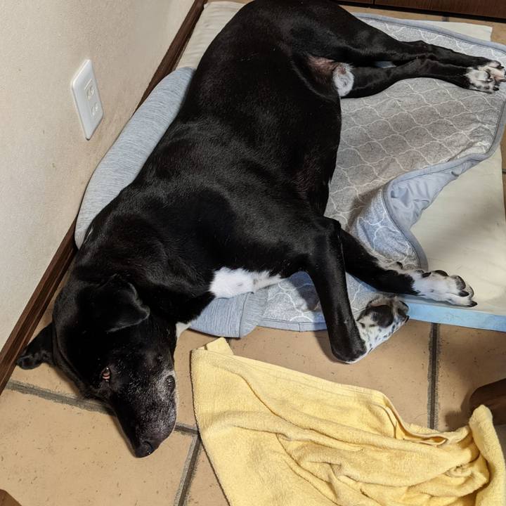 137ac89b 24a6 493c 9077 8e9aa1d117ac 1692048065293