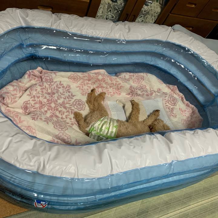 137aed3a 67f2 4a38 864f f144f13d93f1 1628862715248