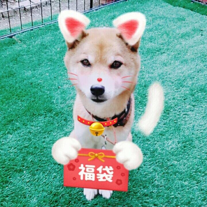 137b0dab 1c09 4566 98ad d174b6950b2f 1578293796251