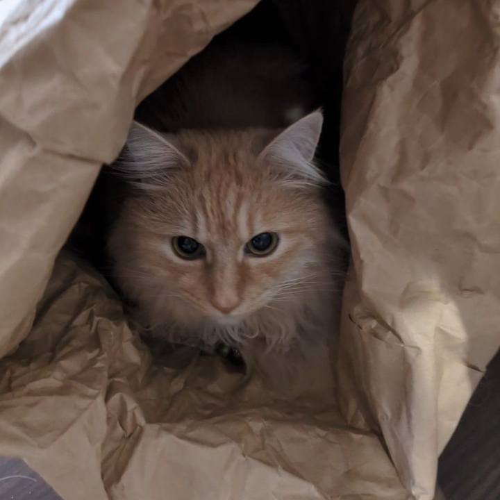 137b6d22 38de 4f16 8642 013c9fef8392 1774921580130