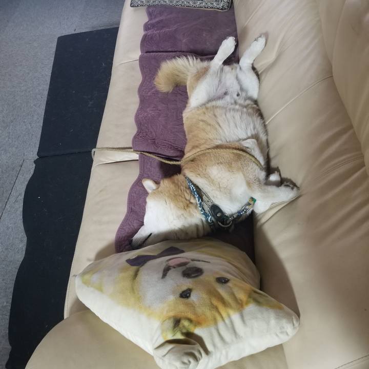 137b7832 bdf6 4e98 b076 55e831b8bf90 1702252701964