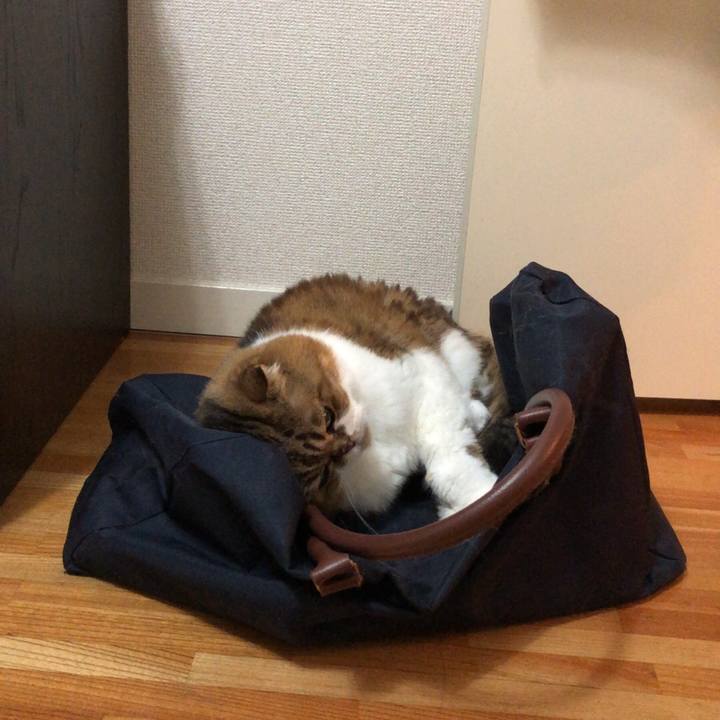 137b87d3 3083 4479 92d2 d79335a4b8f0 1536336234428