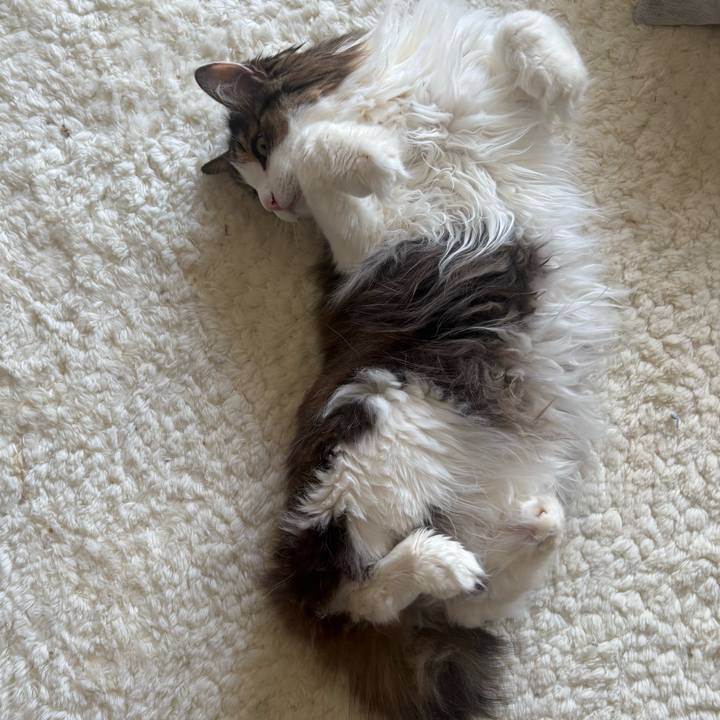 137b9134 0f4e 4b17 8f23 6cdb8f8e69dd 1774311932327