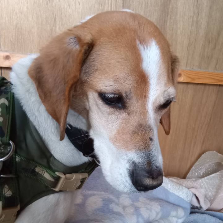 137bb659 078f 4a5a 8556 b88800db3359 1713502453031