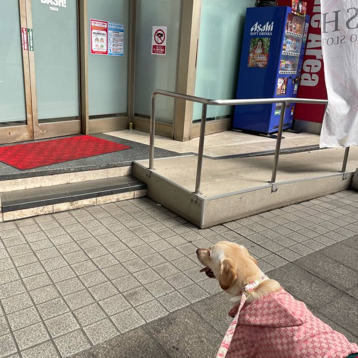 137be4c7 8ecc 40ac b935 fe6c177c11e3 1646440446813