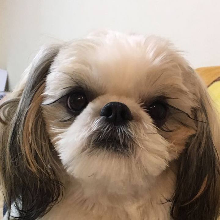 137bfc94 a0e4 485e 8775 c3b330220826 1549279736845