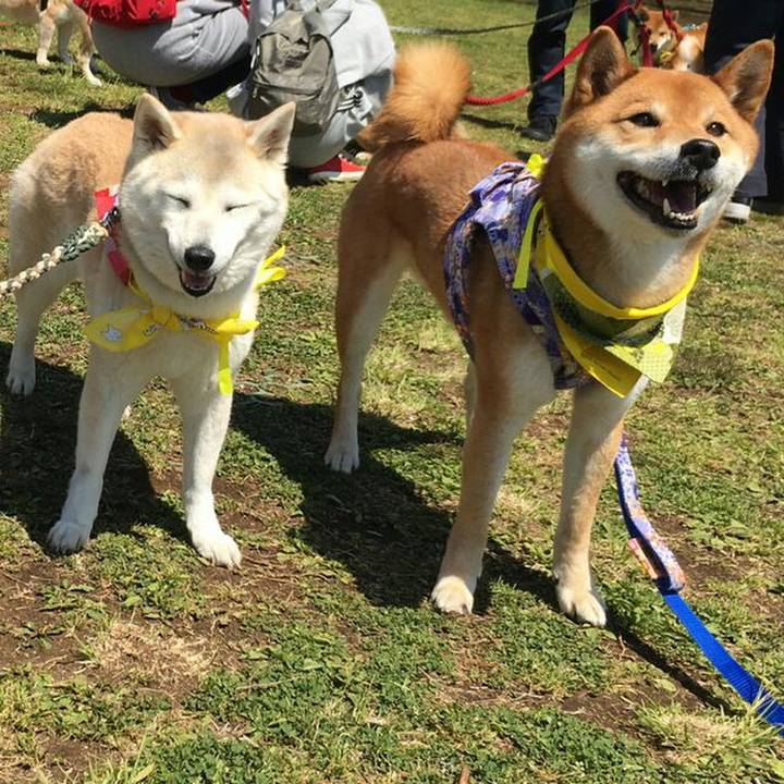 137c2709 a4be 4276 a411 33aba259e595 1555163294671