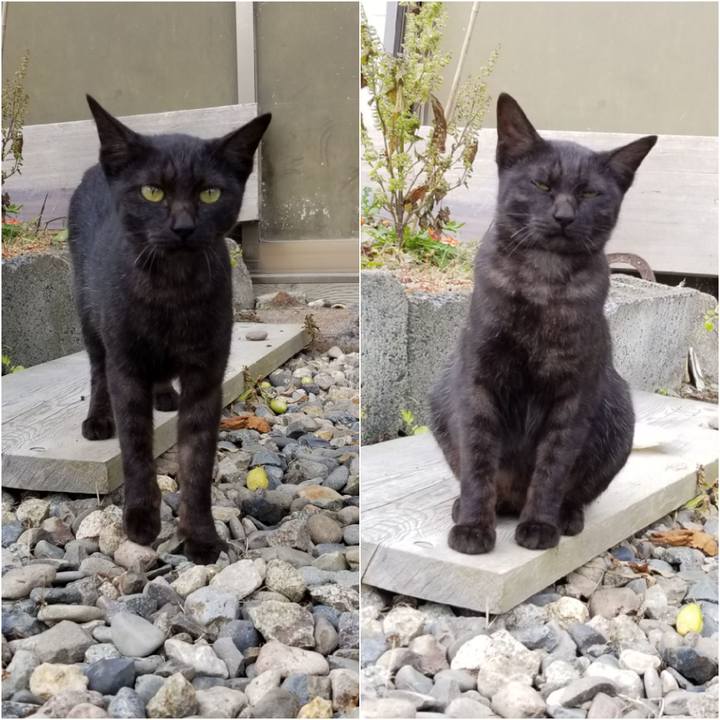 137c476b fbc1 4aa0 8caa c5f151f5df8d 1571197967038