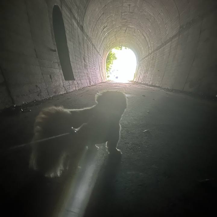 137c59b9 8ab3 489f bb4f bab711516e0c 1718263394212