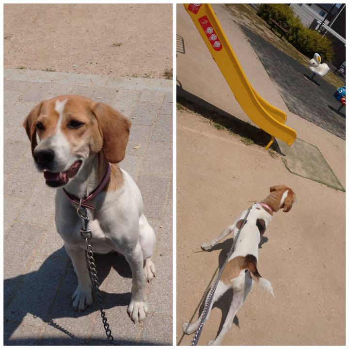 137c67b8 e694 4e20 8a14 f4de8af9c84d 1588148689214