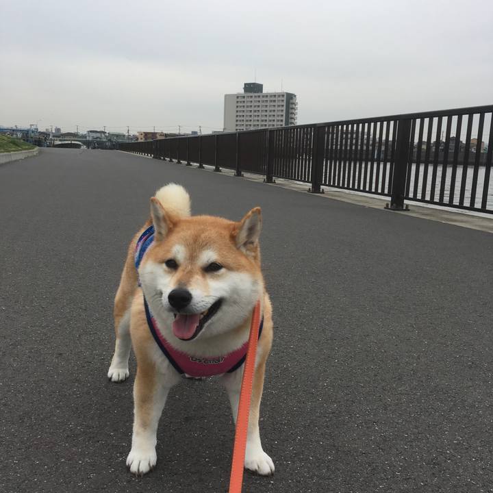 137c7d89 a69e 473b afee b430469f379a 1552190940133