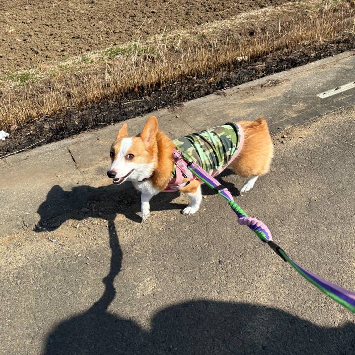 137c98f2 9100 4676 a112 9adee53d7c47 1771751452995