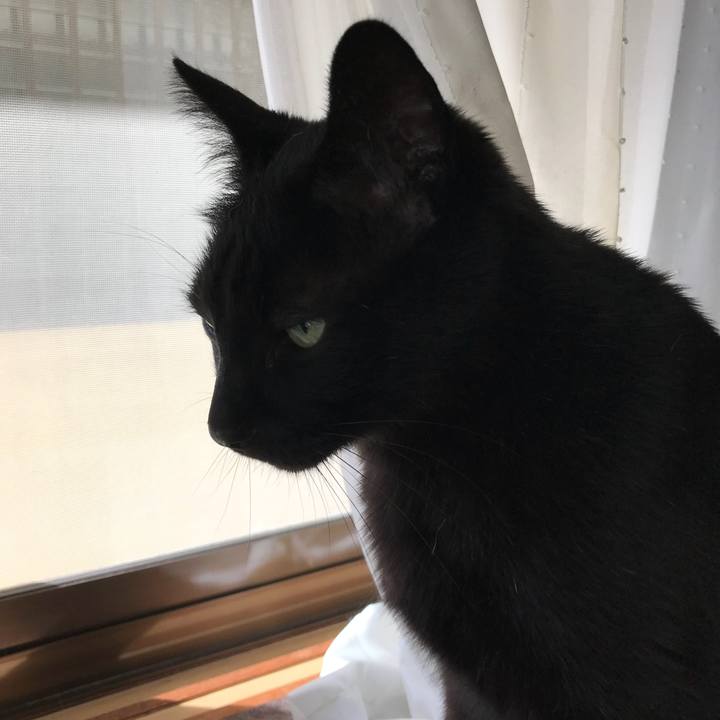 137c9f46 ff8a 4e98 ab32 a4f9a8ae50e7 1526950805895