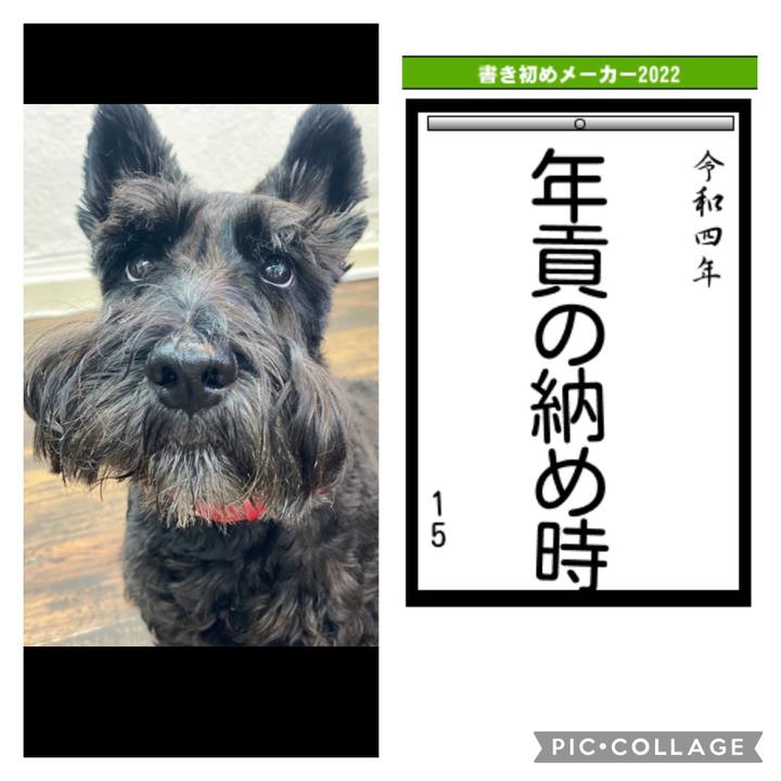 137cad8f ea11 4593 b589 b307d2e8050c 1641101541094