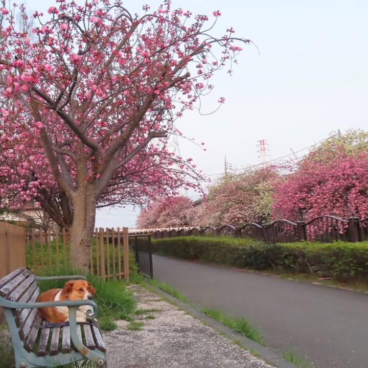 137ce93b 4633 4d9d b11c 5ce502b638e6 1649818726815