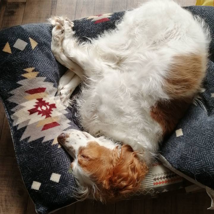 137d6393 61b2 41d5 9965 7de7c4e6fd22 1611204167422