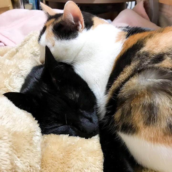 137d6727 f7cb 4723 afb2 afecb67366c3 1517448649579