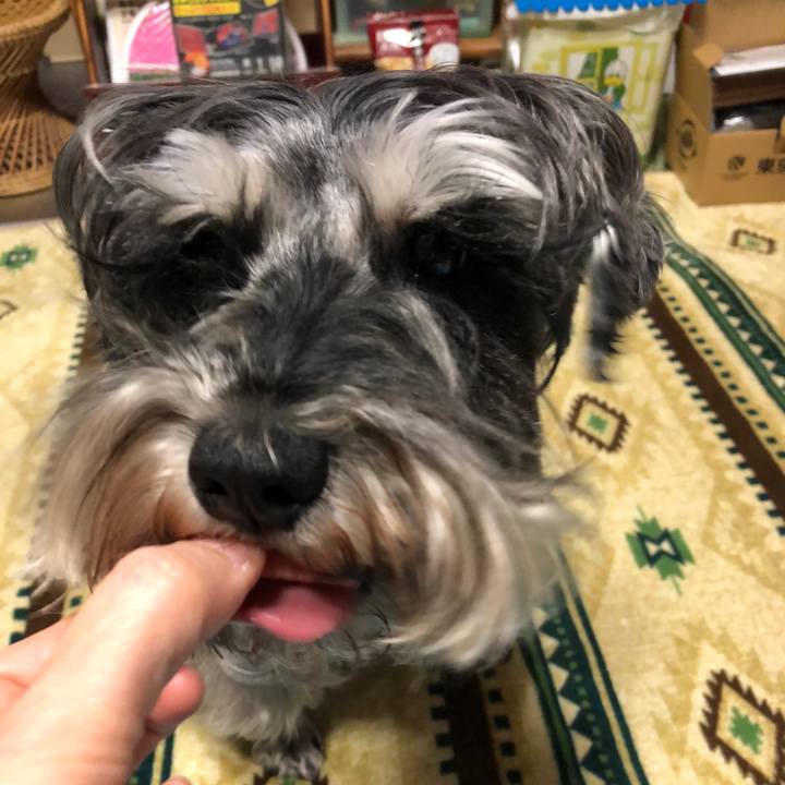 137d7de6 5a3d 4734 9966 99cd936c824c 1619524350986