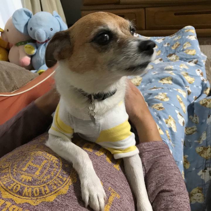 137dce59 37f7 42bf 83fd f557b3e2597f 1573423804414