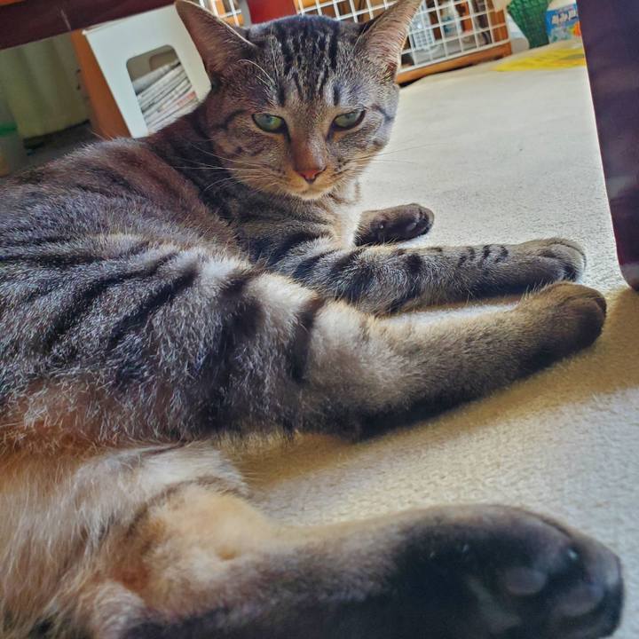 137debc5 cb80 4d1b 9908 4a2a11a08d1d 1697552643195