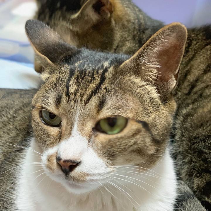 137e33b3 7c44 45a3 bdb8 2d1d209b21a9 1565137675352