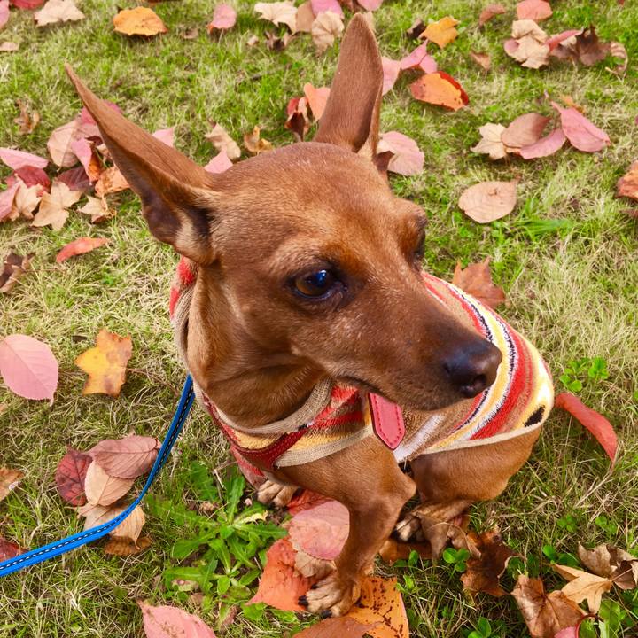 137e7f11 c512 446b bd83 7876fc933fff 1602645371036