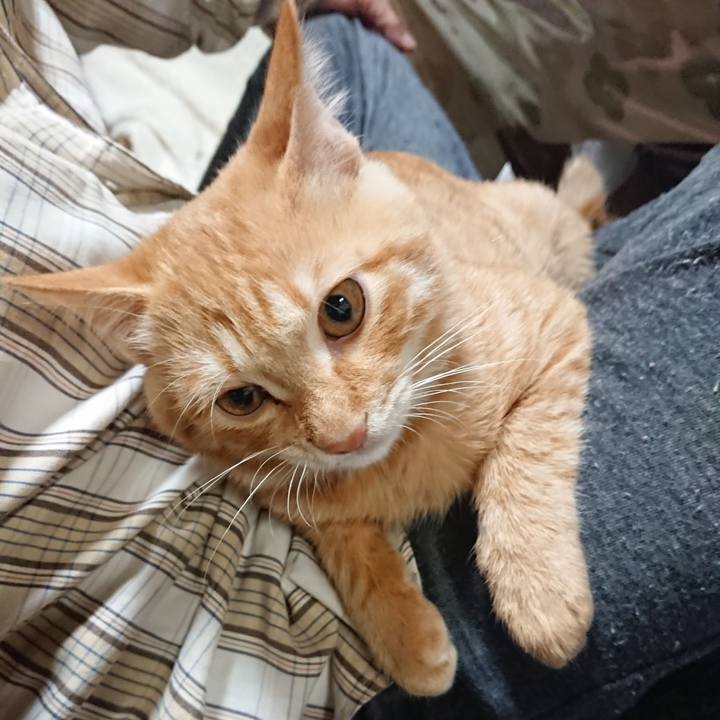 137ef2dc 7297 4f25 b208 a90191bf4d21 1634463976700