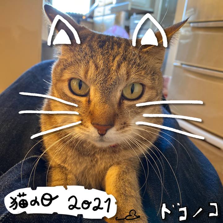 137f10af eab3 4ba3 b4ac 1c92b63264c2 1614043202965