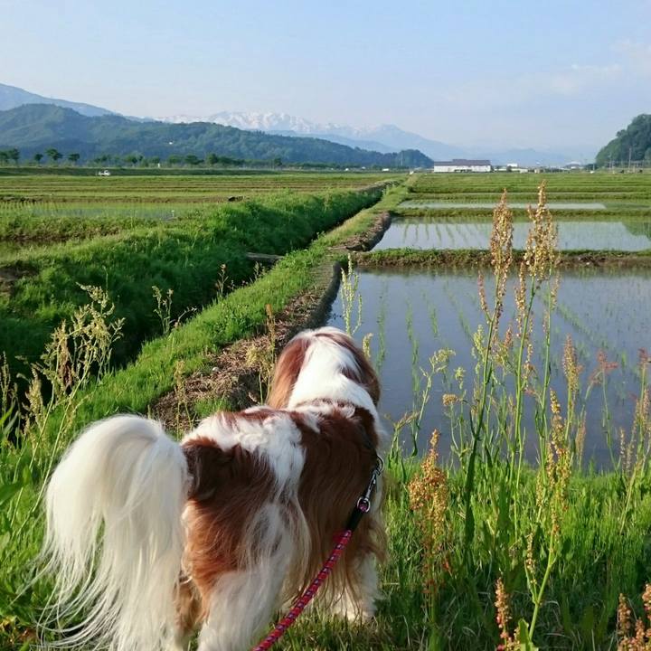 137f24cf 0305 45e9 aa52 6a6e6507b1cd 1558045462777