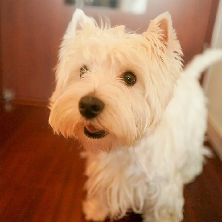 137f3a2c 6f83 4076 acae 55588202072b 1513818313899