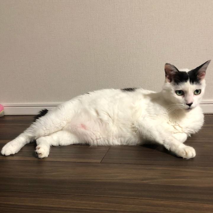 137f3d3d 3585 4a8e a34a 0c7b83e2c18f 1598095469587