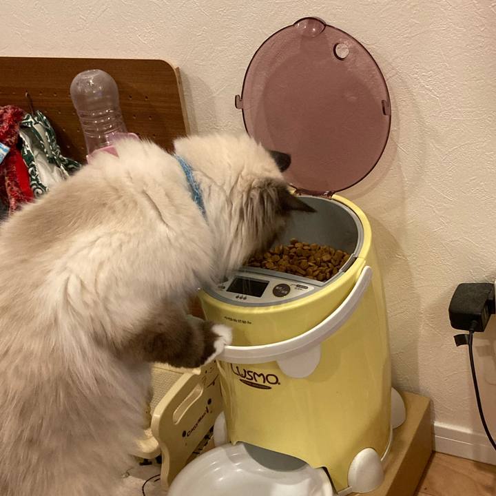 137f4693 84c0 4ca9 b270 1af5b2daa5e8 1592227593259