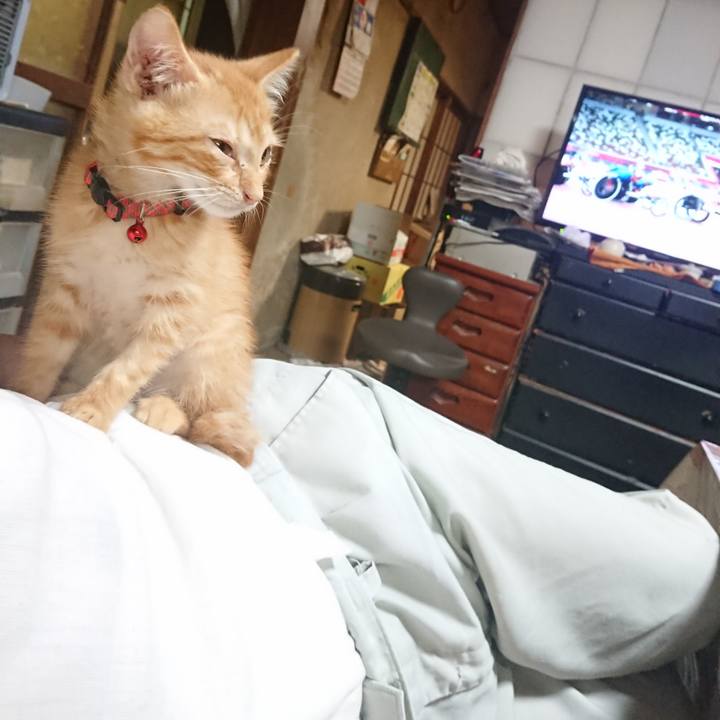 137f88e1 ecae 446d 8d4f e24699f617be 1630152436843