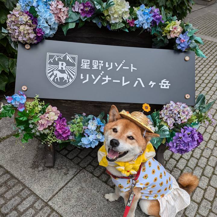 137f9a65 4db8 49da 81cc 92be66d69ae1 1720328212324