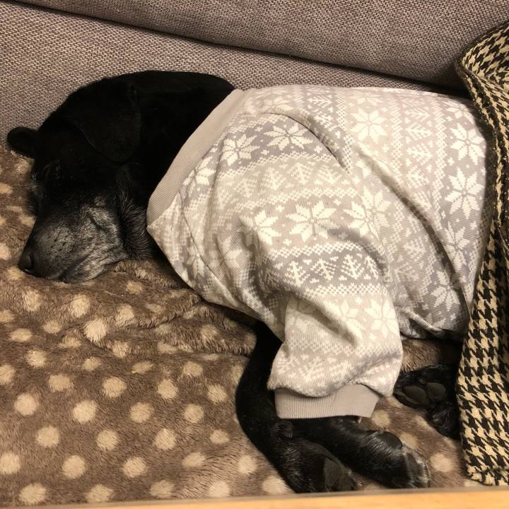 137fa035 c62f 4662 9c2c db122fe73259 1610119411213