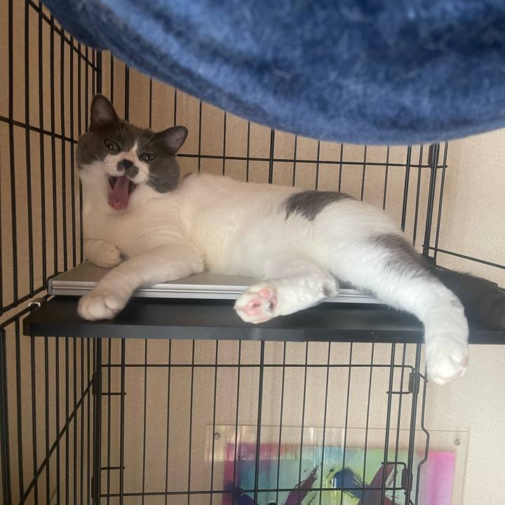 137fa9e0 14fc 439f 95f7 88c9379e807d 1690754143946