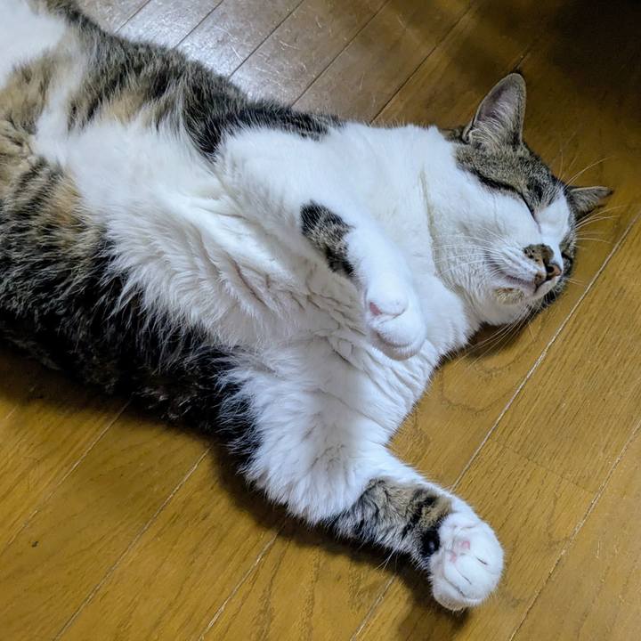 137fc235 30b2 47a5 8c48 72ef633a7d68 1750281988219