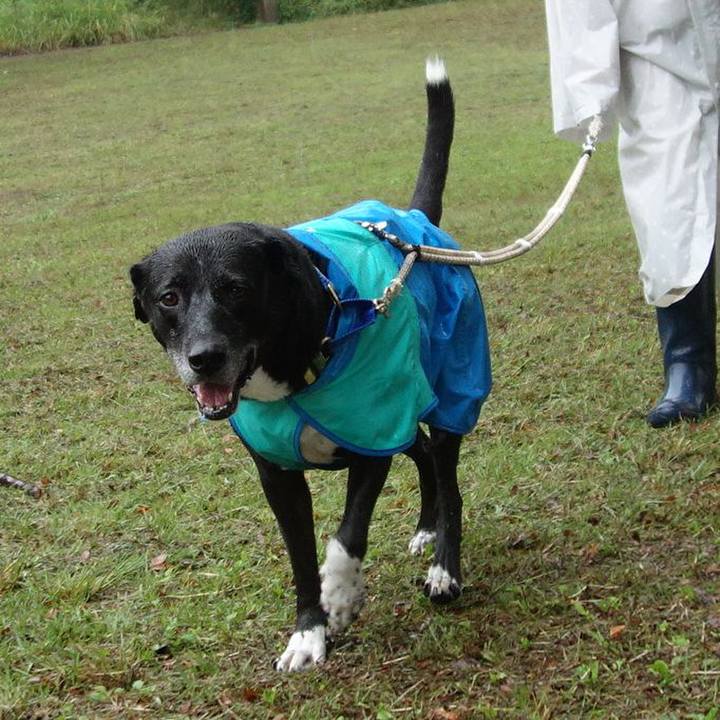 137fd16e 1bf6 4fcb ac62 9d1a0c0e6bb0 1697328036554