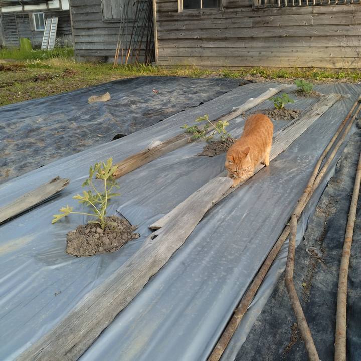 137fe28f 9179 4ddc 8b44 f09b8c63d576 1685872825903