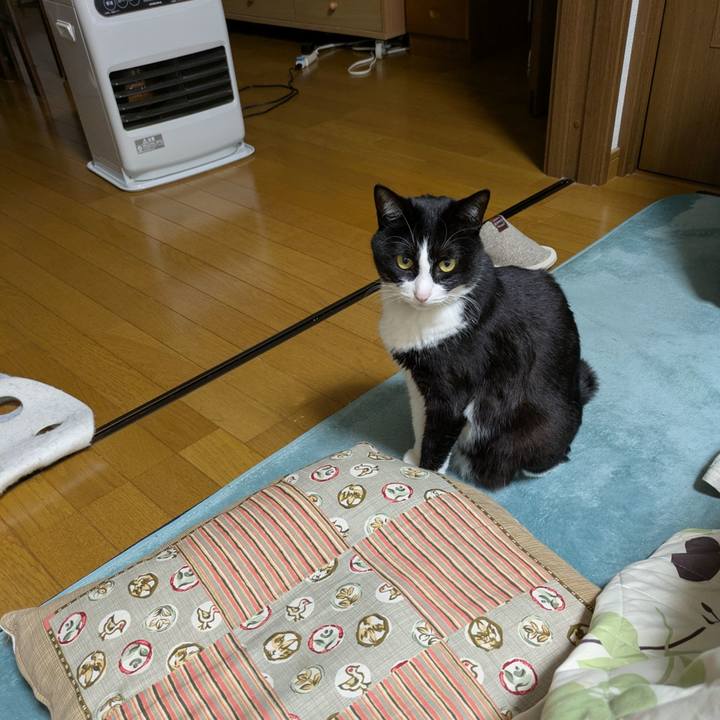 137feff7 6e6a 45c0 87f9 01634dd8646d 1769004463345