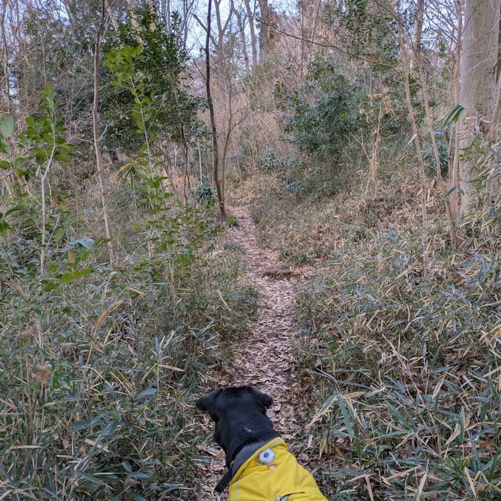 137ff803 e04f 4fc5 87d9 27ab43f3f81b 1737242879962