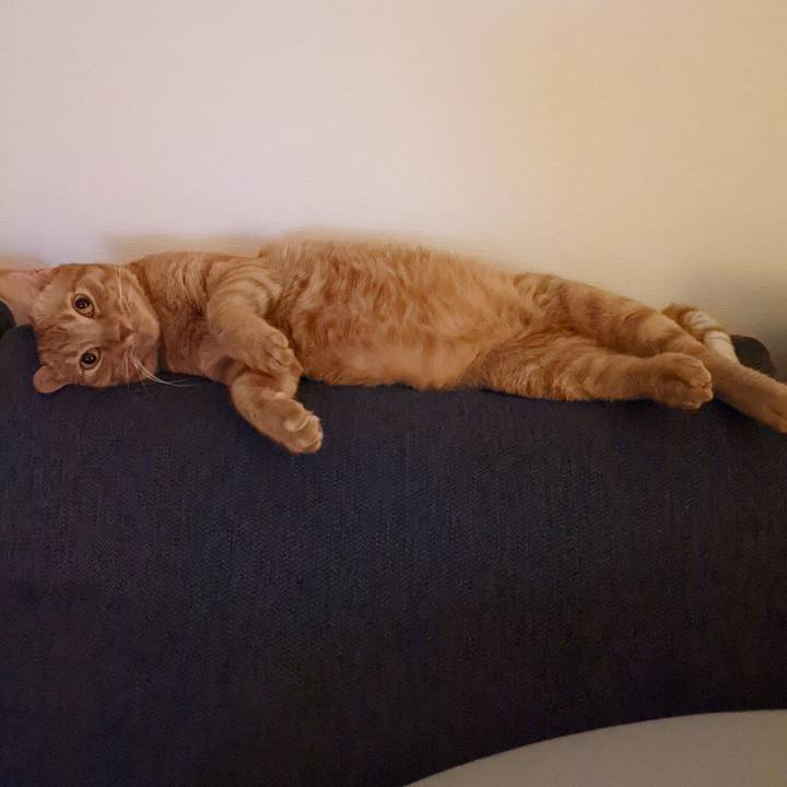 13801f5f 5f59 4bba b86e afd6ddc5a109 1655642595540