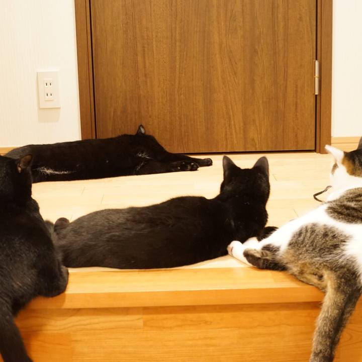 13802ac8 04ed 480a a6bc d206ac0bdf2e 1534687278672