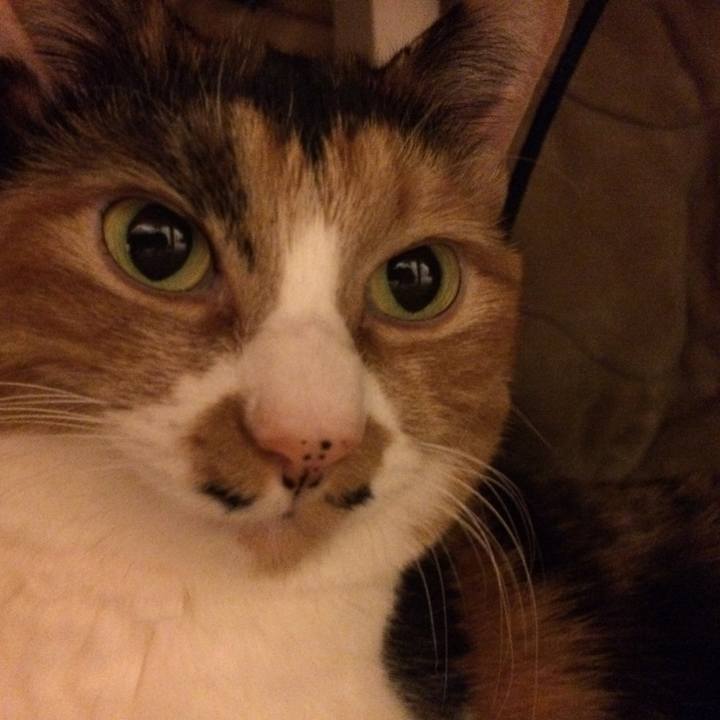 13803bbd 4568 491e b50b d88d953367a6 1577939692630