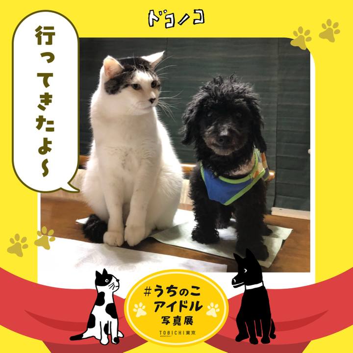 13803e0b 0d0b 4f74 b629 17e70b551865 1761346819640