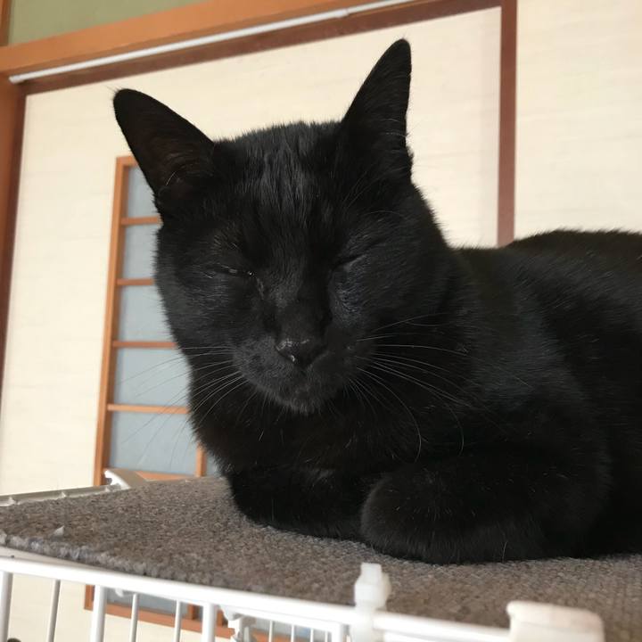 1380a96e f837 4009 a7d2 1beca12ec570 1519087334320