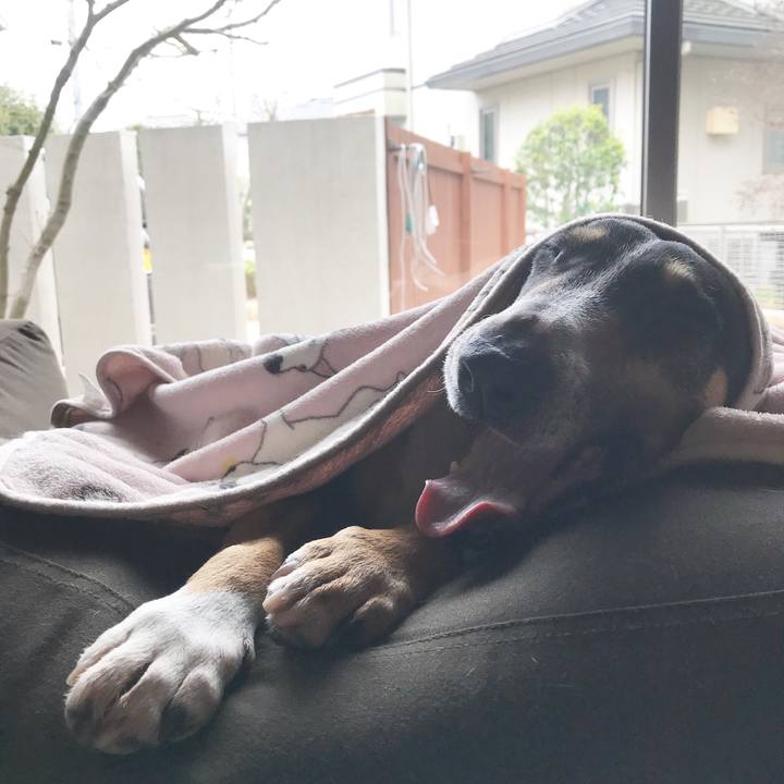 1380af15 6f9c 42dc bbff f4ffbb1440f4 1521158545027