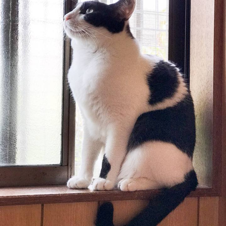 1380b723 27fe 4d51 b418 e6f756a9f39d 1526442594713