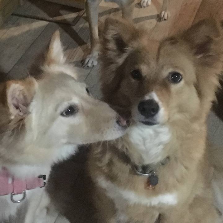 1380cf75 b395 4e38 a3ce a912bd55d934 1529969431354